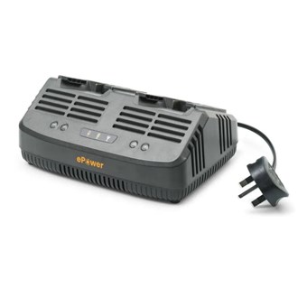 C 215 D Dual Standard Battery Charger (271020100/21)